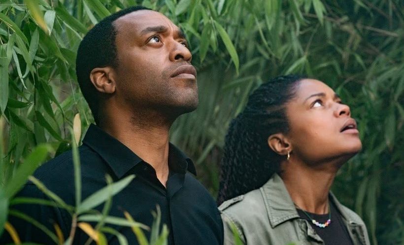 The Man Who Fell to Earth