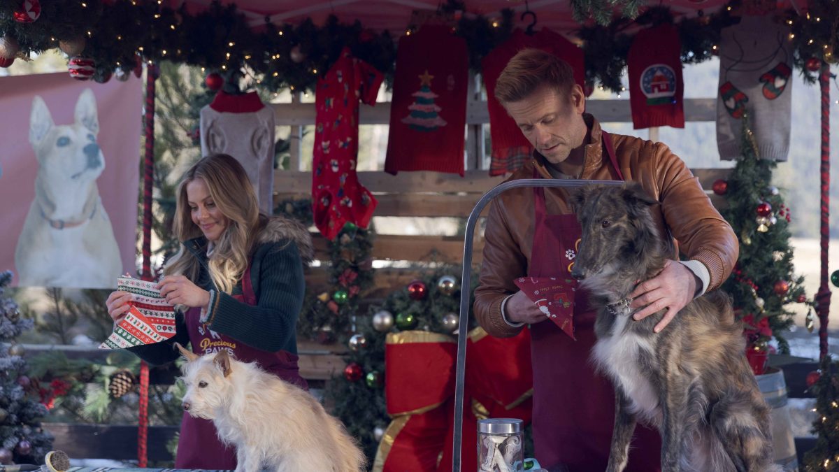 Cu 10 saptamani inainte de Craciun, la DIVA ne amintim cat de important este sa ne intoarcem acasa