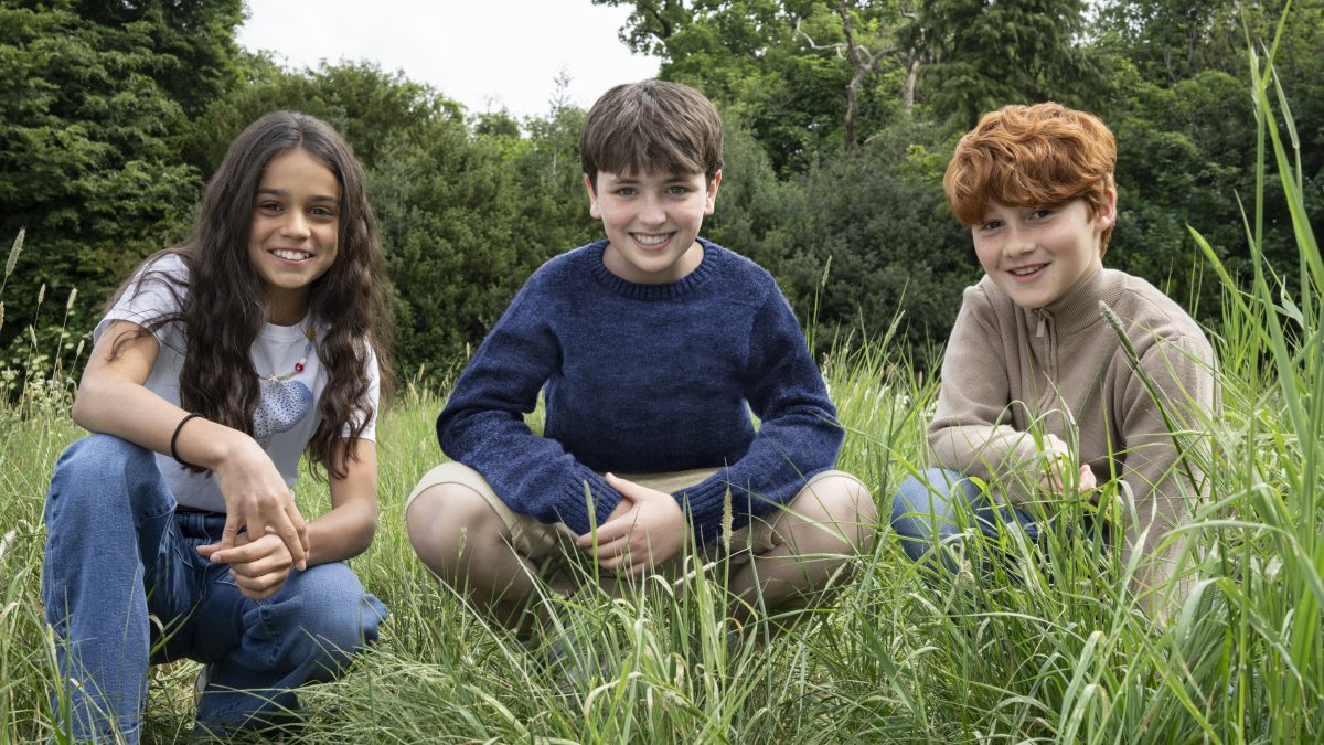 Harry Potter: noii Harry, Ron si Hermione!
